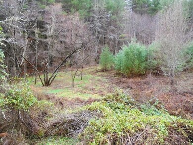 0 Hardscrabble Rd, Cane River, NC 28714 - photo 3