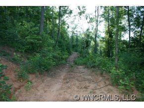 9999 N Turkey Creek Rd, Leicester, NC 28768 - photo 3