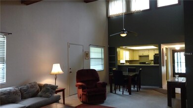 Vaulted Ceilings, pass-through counter/bar from th