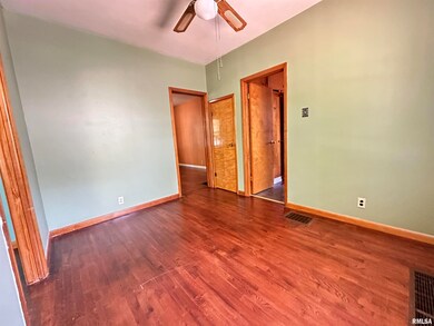 2029 Hortense St, Murphysboro, IL 62966 - photo 6