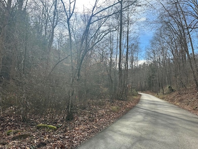 Lot 2 Radford Rd, East Bernstadt, KY 40729 - photo 3