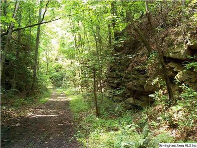 This is a shot of the old abandoned railroad bed t