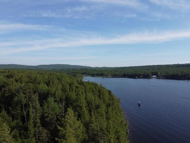 P/O 167 Salmon Cir, Hartland, ME 04943 - photo 4