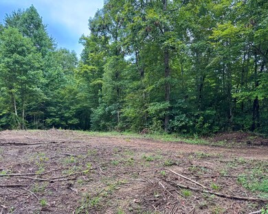 Tract 6 Sheep Ranch Rd, Robbins, TN 37852 - photo 3