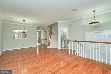 3647 Ransom Place, Alexandria, VA 22306 - photo 6