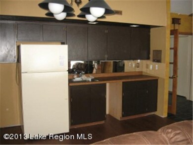 38660 Eldorado Beach Rd, Battle Lake, MN 56515 - photo 5