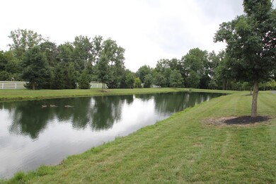 6 pond