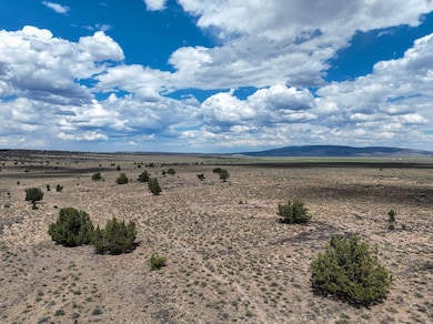 TL 500 Sheep Lake Rd, Riley, OR 97758 - photo 3