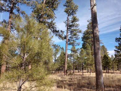 176 Pine Canyon 6