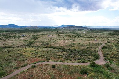 71 High Lonesome, Alpine, TX 79830 - photo 2