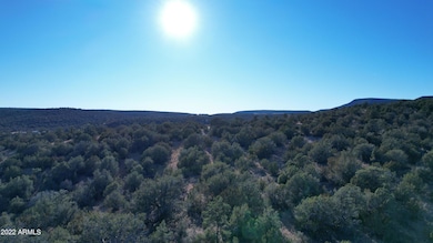 51824 N Cordero Rd unit 3384, Seligman, AZ 86337 - photo 2