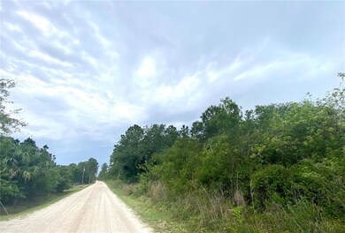 Street view, looking south.