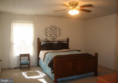 316 Aileen Ave, Strasburg, VA 22657 - photo 7