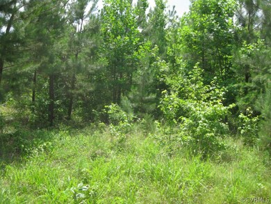 0 Courthouse Rd unit 1418126, Lunenburg, VA 23974 - photo 2