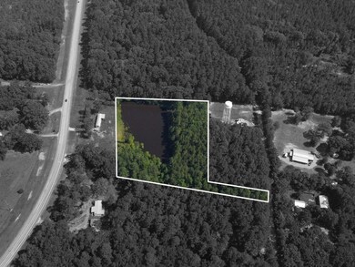 TBD Hudson Rd, Pollock, LA 71467 - photo 3