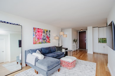 Park Place Tower unit 5104, Chicago, IL 60613 - photo 5