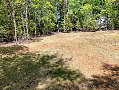 0 The Landing unit 415661, Blairsville, GA 30512 - photo 3