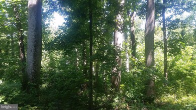 12D D Fire Trail Rd, Linden, VA 22642 - photo 2