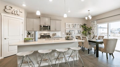 810 N Clubview St, Watkins, CO 80137 - photo 5