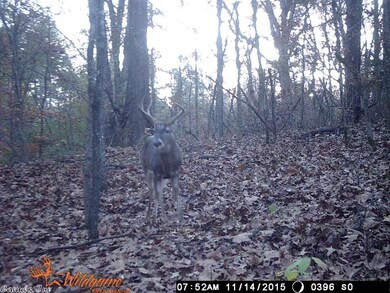 15.39 Greene Road 715, Paragould, AR 72450 - photo 3