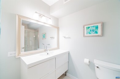 134 Turtle Creek Rd unit 4, Charlottesville, VA 22901 - photo 4