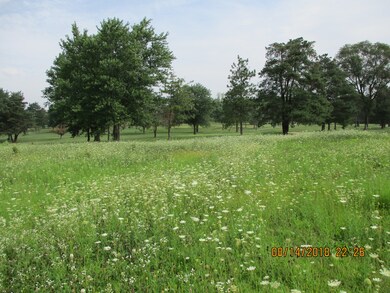 VE E Offner Rd, Beecher, IL 60401 - photo 3