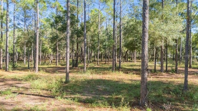 24238 Deep Springs Loop, Eustis, FL 32736 - photo 6