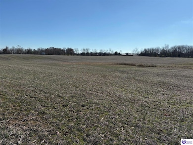 250 Owl Creek Dr, Vine Grove, KY 40175 - photo 3