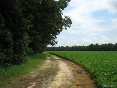 0000 Golansville Rd, Caroline, VA 22546 - photo 2