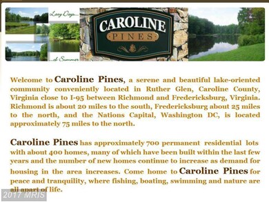 12031 Red Pine Rd, Ruther Glen, VA 22546 - photo 3