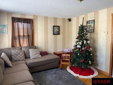 1112 S Jefferson St, New Ulm, MN 56073 - photo 4