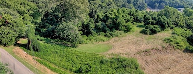 0 Palmetto Dr unit 33197, Vicksburg, MS 39183 - photo 2