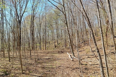 1,2 & 3 Top Drop Ln, Sylva, NC 28779 - photo 3