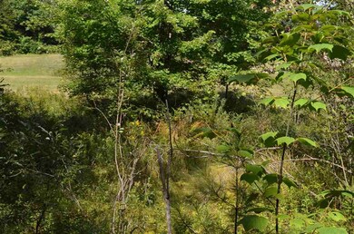 Lot 5 Trailview, Ludlow, VT 05149 - photo 2