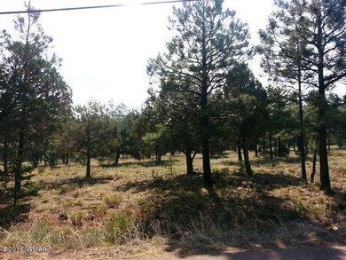 1001 S 11th St, Show Low, AZ 85901 - photo 2