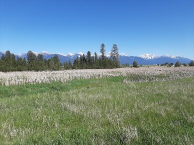 wetlands