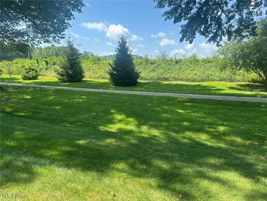 5-118 The Fields, Williamstown, WV 26187 - photo 6