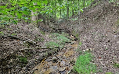 18 Gradient Ct, Ellijay, GA 30540 - photo 4