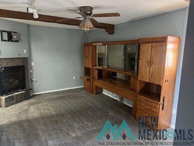 608 N Maple St, Carlsbad, NM 88220 - photo 4