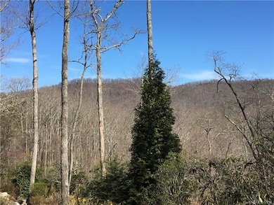 499 Walnut Valley Pkwy unit 132, Arden, NC 28704 - photo 7