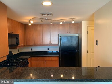 The Crescent unit 1108, Silver Spring, MD 20910 - photo 5