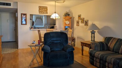 711 Lori Dr unit 309, Palm Springs, FL 33461 - photo 7