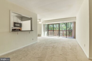 101 Skyhill Rd unit 203, Alexandria, VA 22314 - photo 5