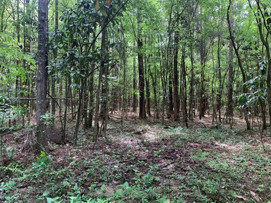 2190 Ernest A Thompson Rd, Ruth, MS 39662 - photo 7