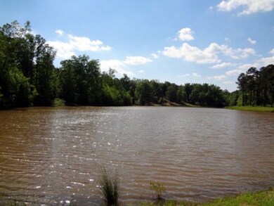 315 Pine Grove Church Rd, Culloden, GA 31016 - photo 3