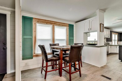 452 Big Salty Dr, Springtown, TX 76082 - photo 6