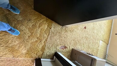 View of room details