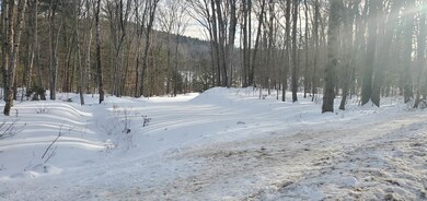 2057 New Hampshire 16, Albany, NH 03818 - photo 4