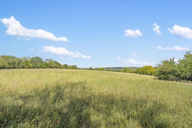 543 1-A Wild Rose Loop, Grant Township, MO 65757 - photo 3