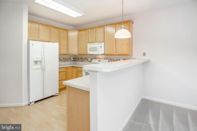 301 Willrich Cir unit A, Forest Hill, MD 21050 - photo 7